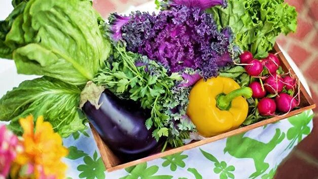 Vegetables and vegetables in the diet of the Ducan diet